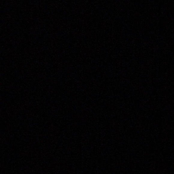 Meet your Posher, Maya - Picture 1 of 1